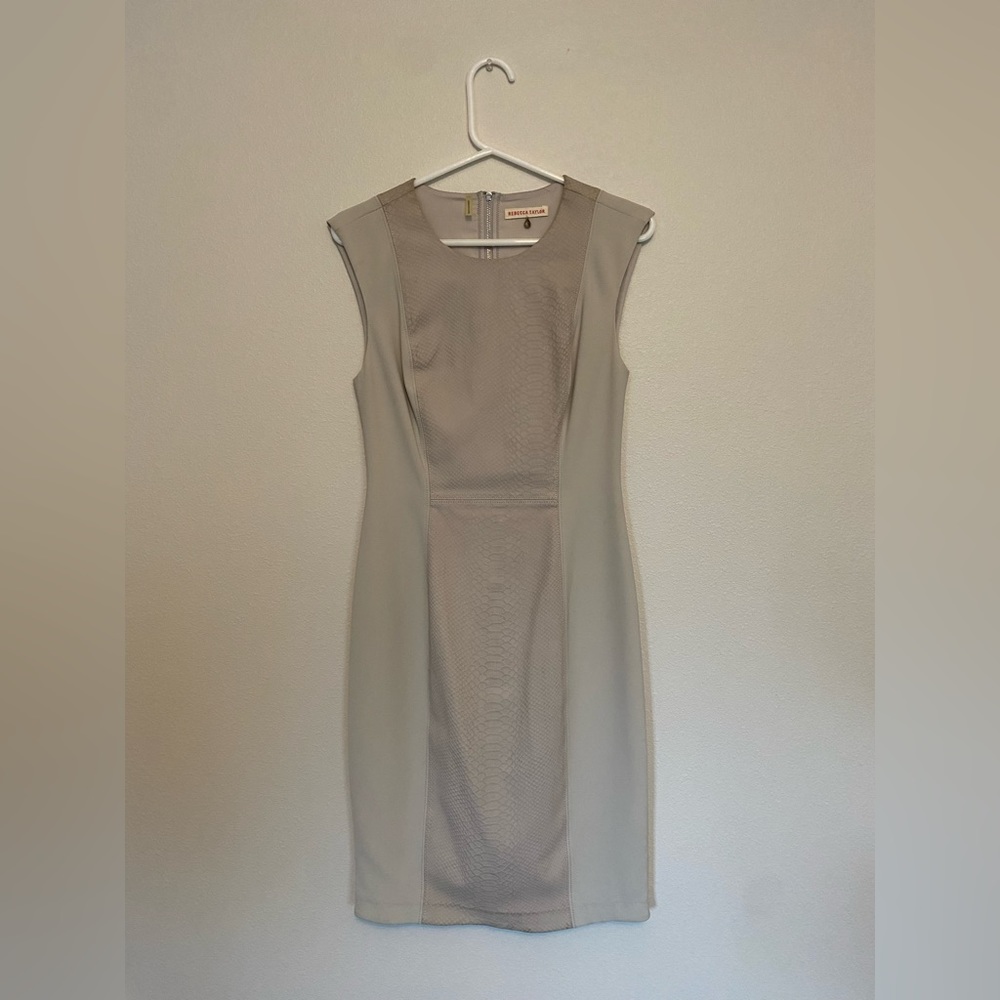 Rebecca Taylor dress with leather detail